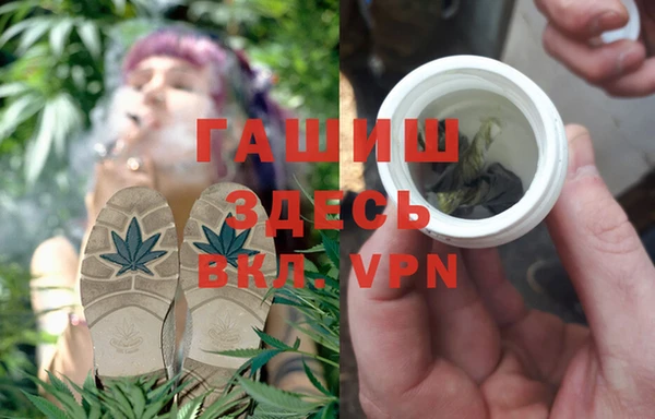 мдпв Ельня