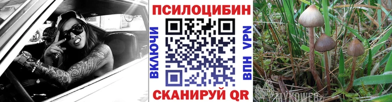 Галлюциногенные грибы мицелий OMG зеркало Ликино-Дулёво
